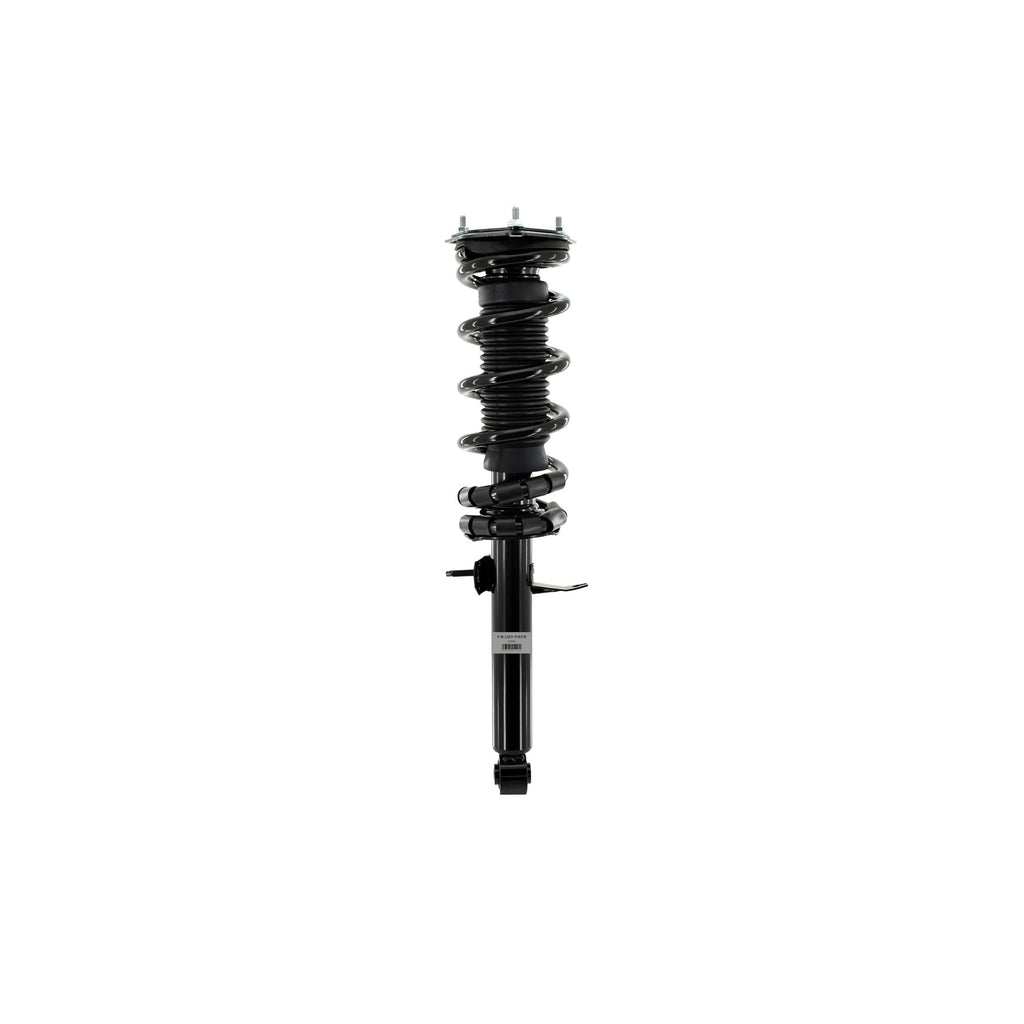 Suspension Strut and Coil Spring Assembly LS53-91831R