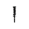 Suspension Strut and Coil Spring Assembly LS53-91831R