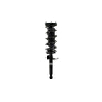 Suspension Strut and Coil Spring Assembly LS53-91831R