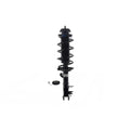 Suspension Strut and Coil Spring Assembly LS53-91841L