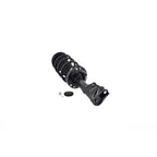 Suspension Strut and Coil Spring Assembly LS53-91841L