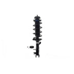 Suspension Strut and Coil Spring Assembly LS53-91841R