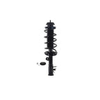 Suspension Strut and Coil Spring Assembly LS53-91841R