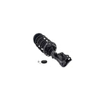 Suspension Strut and Coil Spring Assembly LS53-91841R