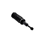 Suspension Strut and Coil Spring Assembly LS53-91861R