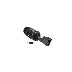 Suspension Strut and Coil Spring Assembly LS53-91871L