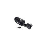 Suspension Strut and Coil Spring Assembly LS53-91871R
