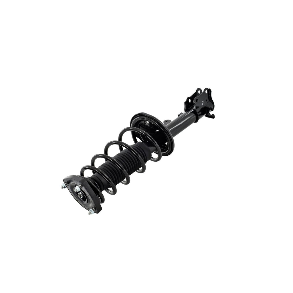 Loaded Strut LS53-91902L