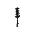 Loaded Strut LS53-91962L