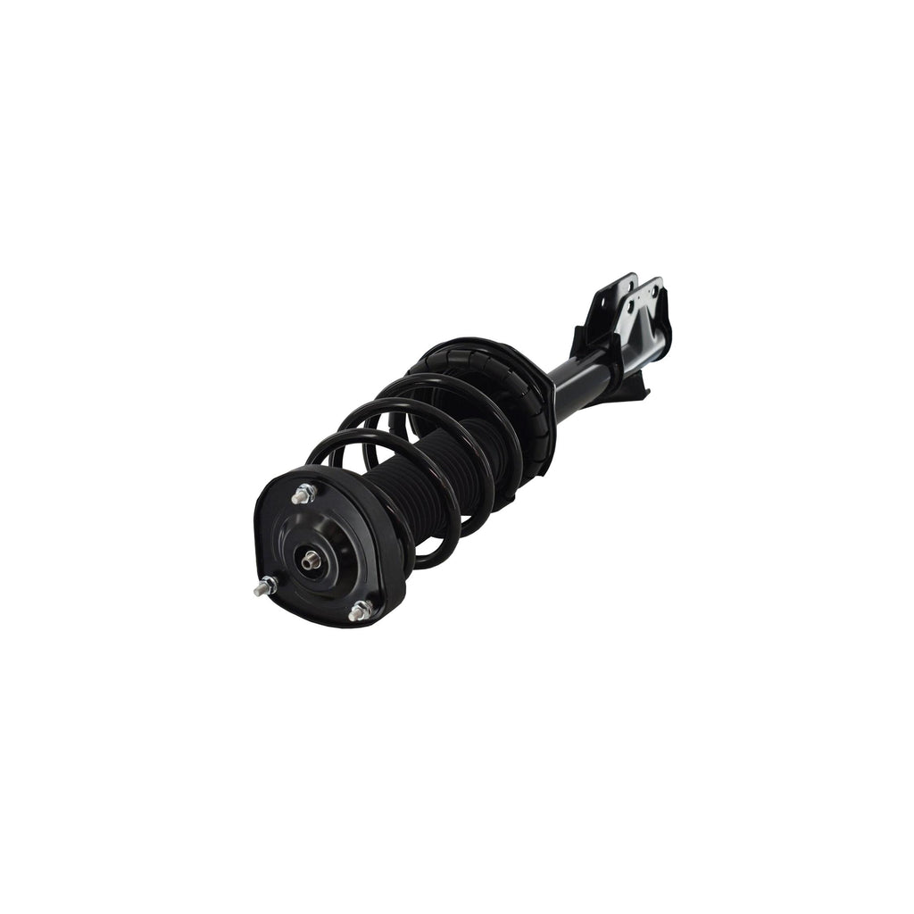 Loaded Strut LS53-91962L