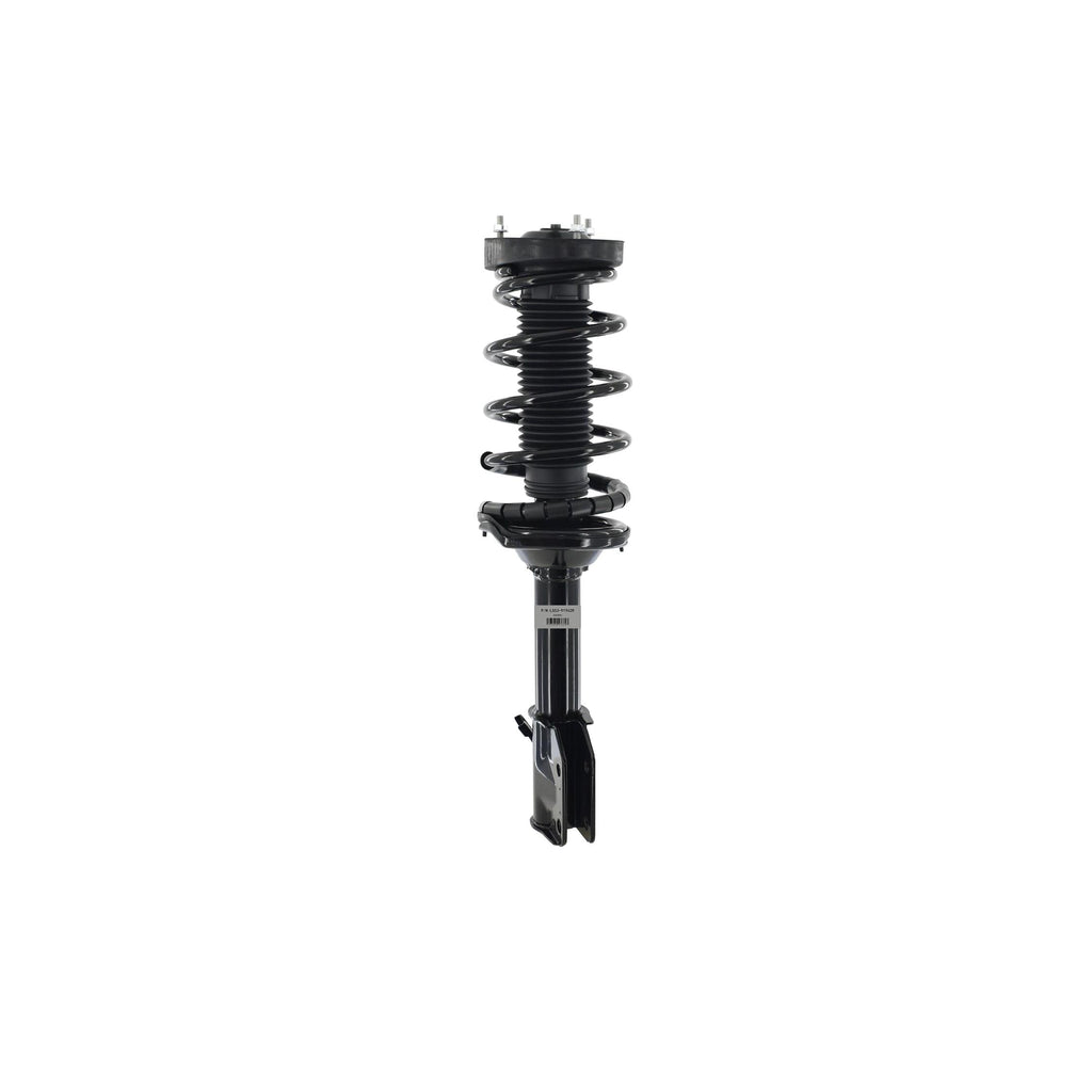 Loaded Strut LS53-91962R