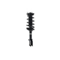 Loaded Strut LS53-91962R