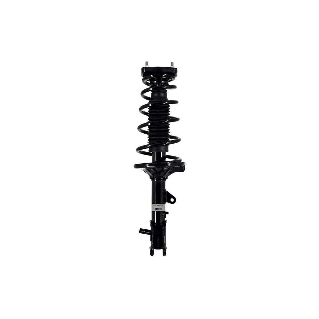Loaded Strut LS53-91972L