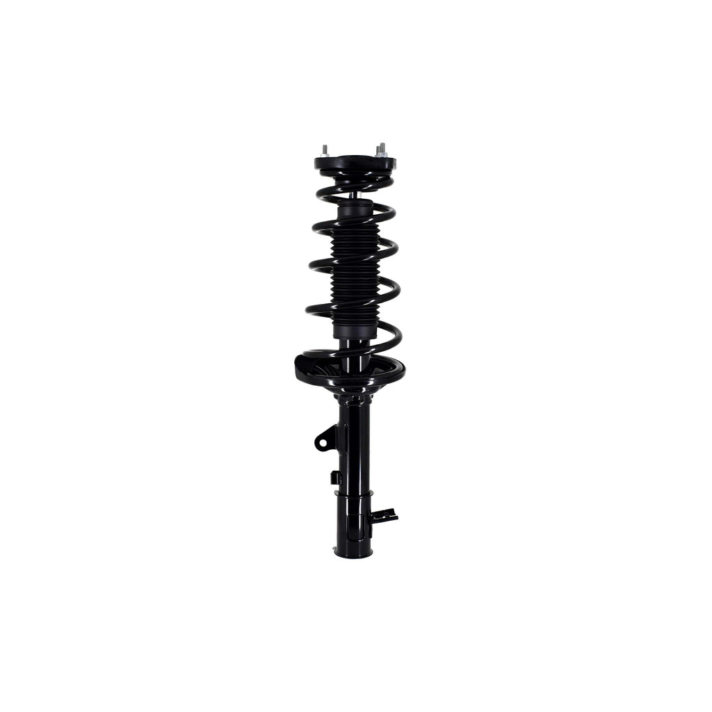 Loaded Strut LS53-91972L