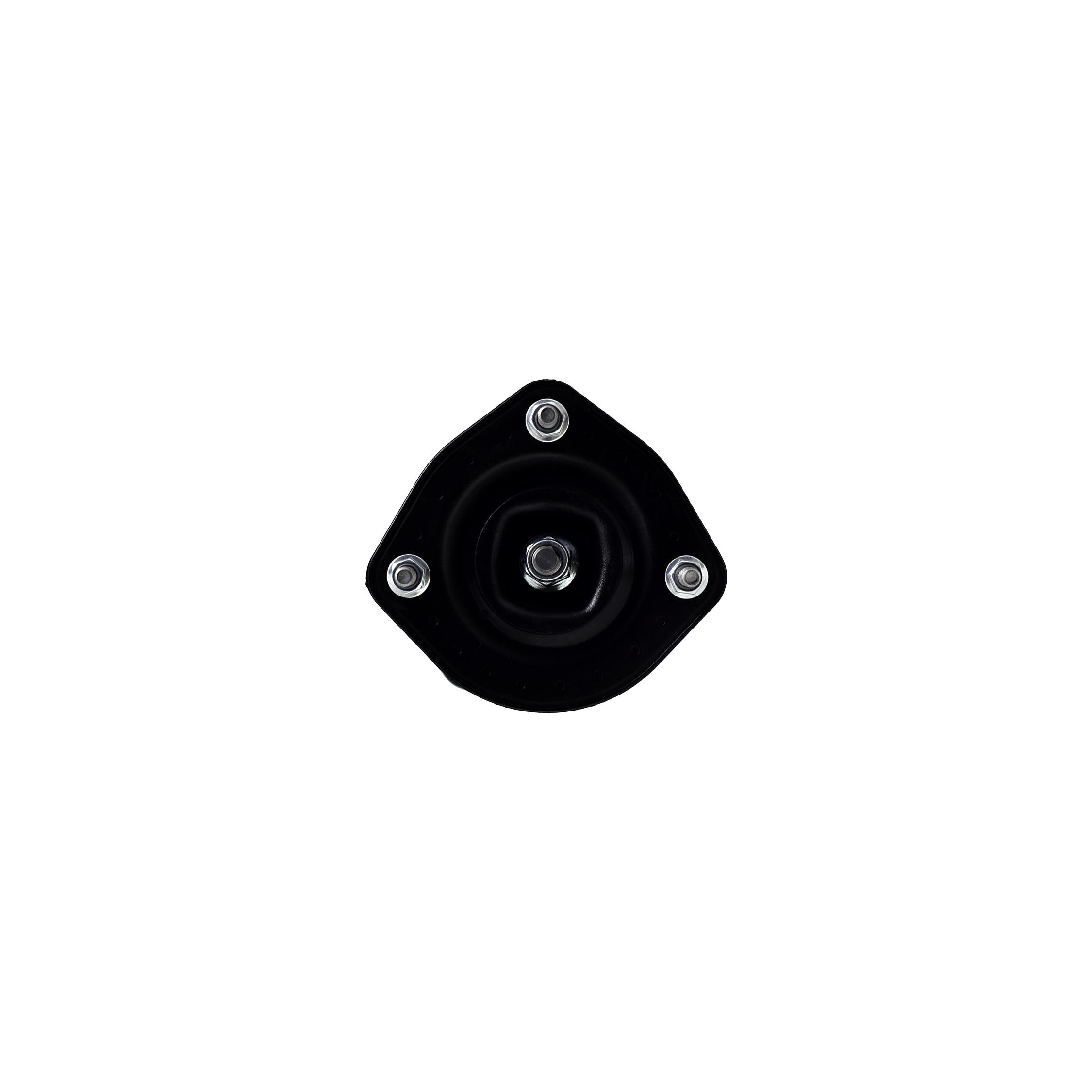 Loaded Strut LS53-91972L