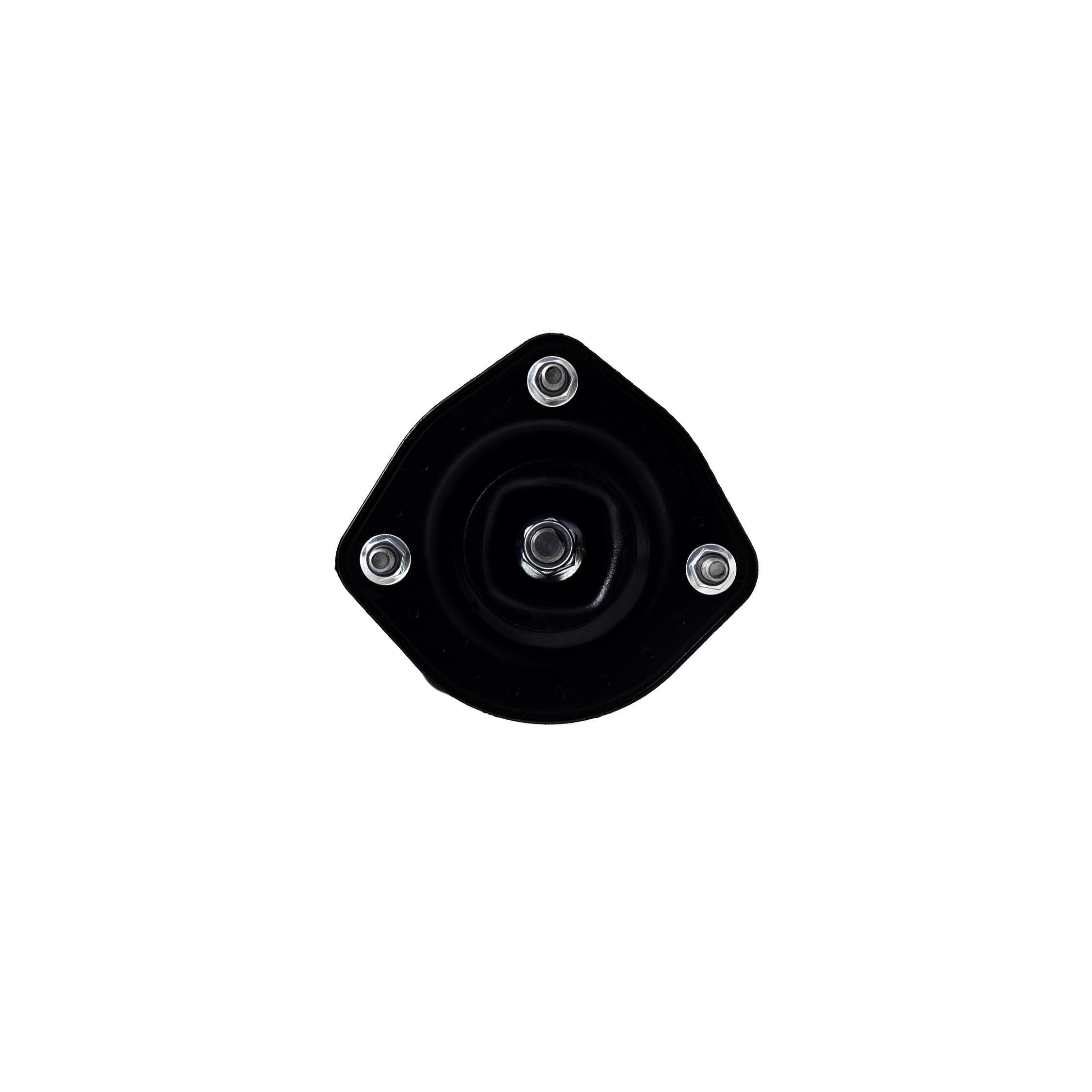 Loaded Strut LS53-91972R
