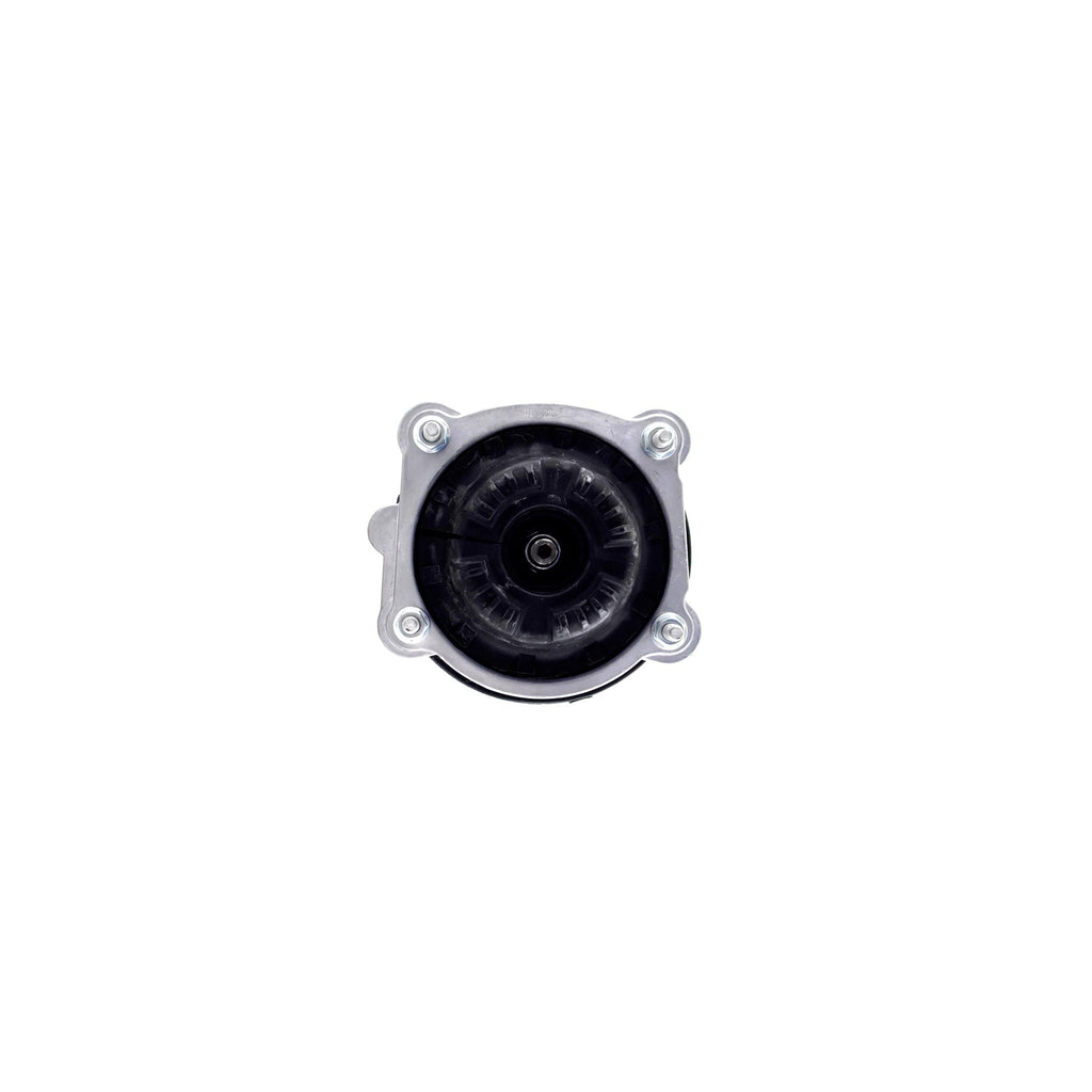 Suspension Strut and Coil Spring Assembly LS53-92091B