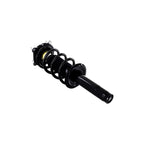 Suspension Strut and Coil Spring Assembly LS53-92091B