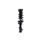 Suspension Strut and Coil Spring Assembly LS53-92121L
