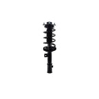 Strut Assembly LS53-92191L