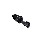 Strut Assembly LS53-92191L