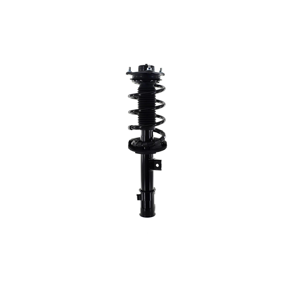 Strut Assembly LS53-92191R