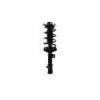Strut Assembly LS53-92191R
