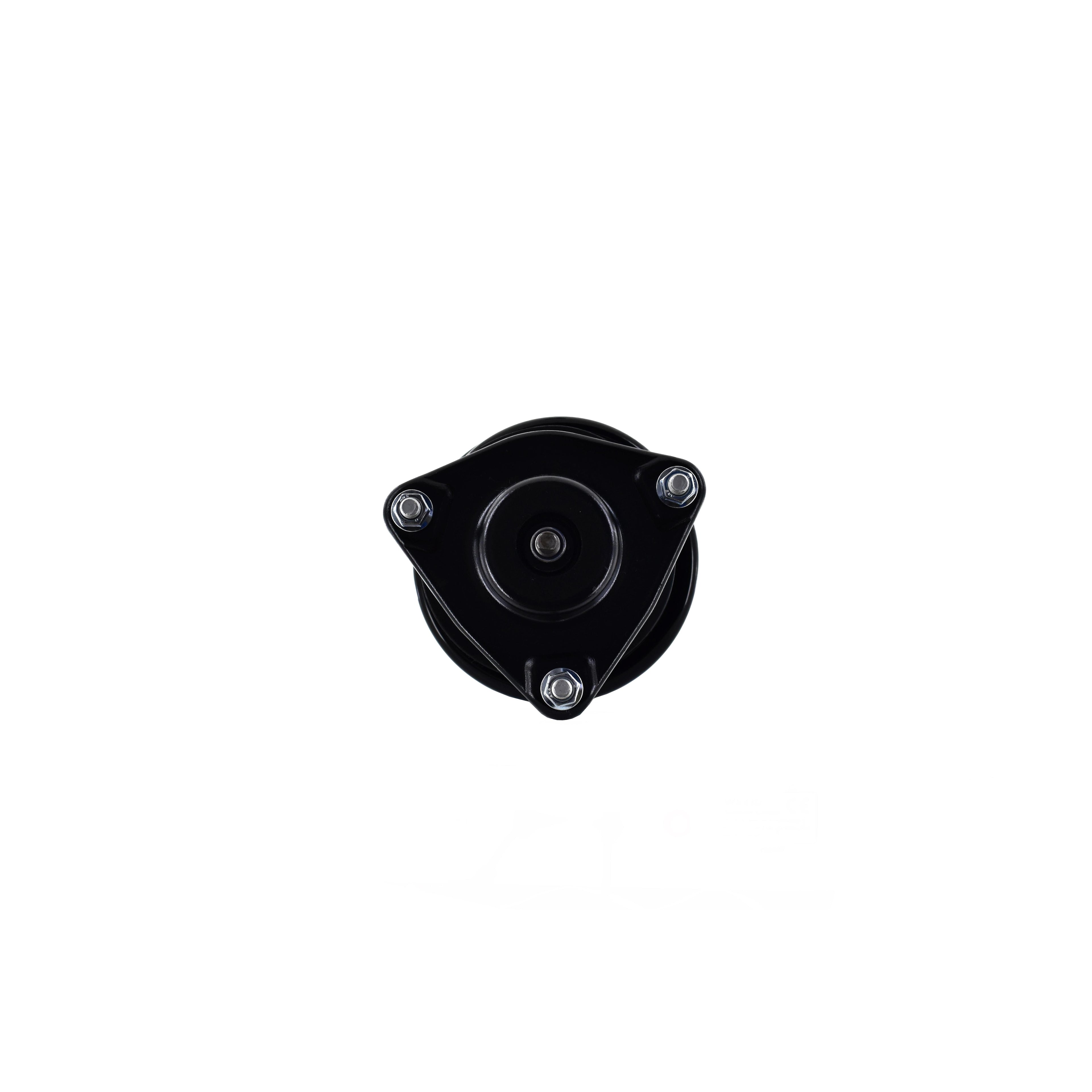 Strut Assembly LS53-92191R
