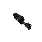 Strut Assembly LS53-92191R