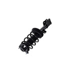 Strut Assembly LS53-92191R