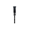 Loaded Strut and Coil Spring Assembly LS53-92202L