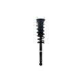 Loaded Strut and Coil Spring Assembly LS53-92202R