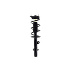 Strut Assembly LS53-92231L