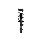 Suspension Strut and Coil Spring Assembly LS53-92231R