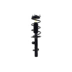 Suspension Strut and Coil Spring Assembly LS53-92231R