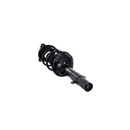Suspension Strut and Coil Spring Assembly LS53-92231R