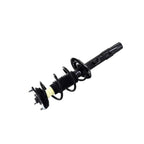 Suspension Strut and Coil Spring Assembly LS53-92231R