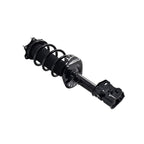 Suspension Strut and Coil Spring Assembly LS53-92251R
