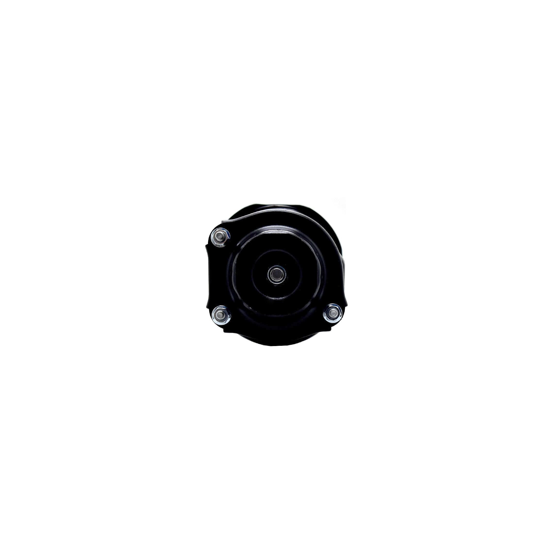Loaded Strut and Coil Spring Assembly LS53-92312R