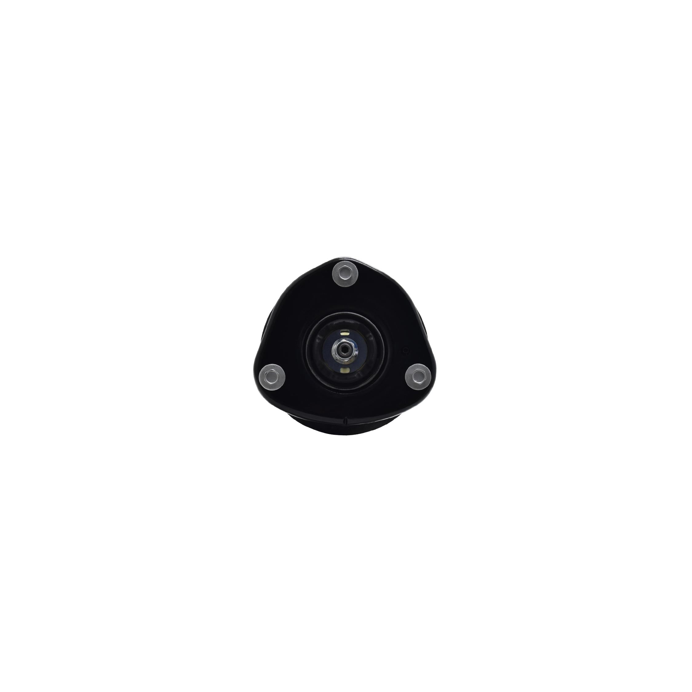 Suspension Strut and Coil Spring Assembly LS53-92351R