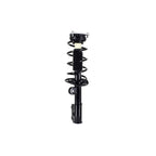 Suspension Strut and Coil Spring Assembly LS53-92361L