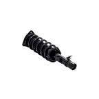 Suspension Strut and Coil Spring Assembly LS53-92401R
