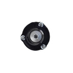 Suspension Strut and Coil Spring Assembly LS53-92411L