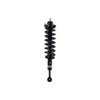 Suspension Strut and Coil Spring Assembly LS53-92411R