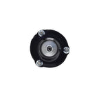 Suspension Strut and Coil Spring Assembly LS53-92411R