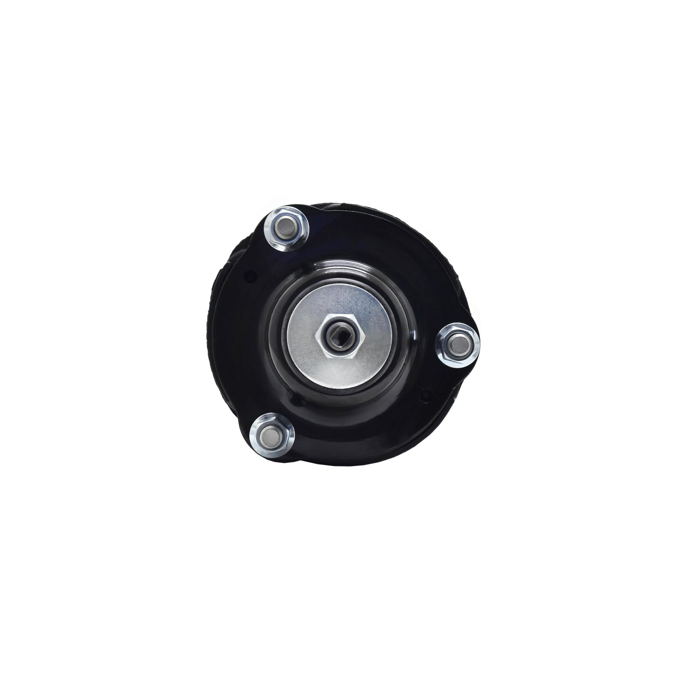 Suspension Strut and Coil Spring Assembly LS53-92411R
