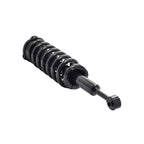 Suspension Strut and Coil Spring Assembly LS53-92411R