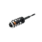Suspension Strut and Coil Spring Assembly LS53-92461L