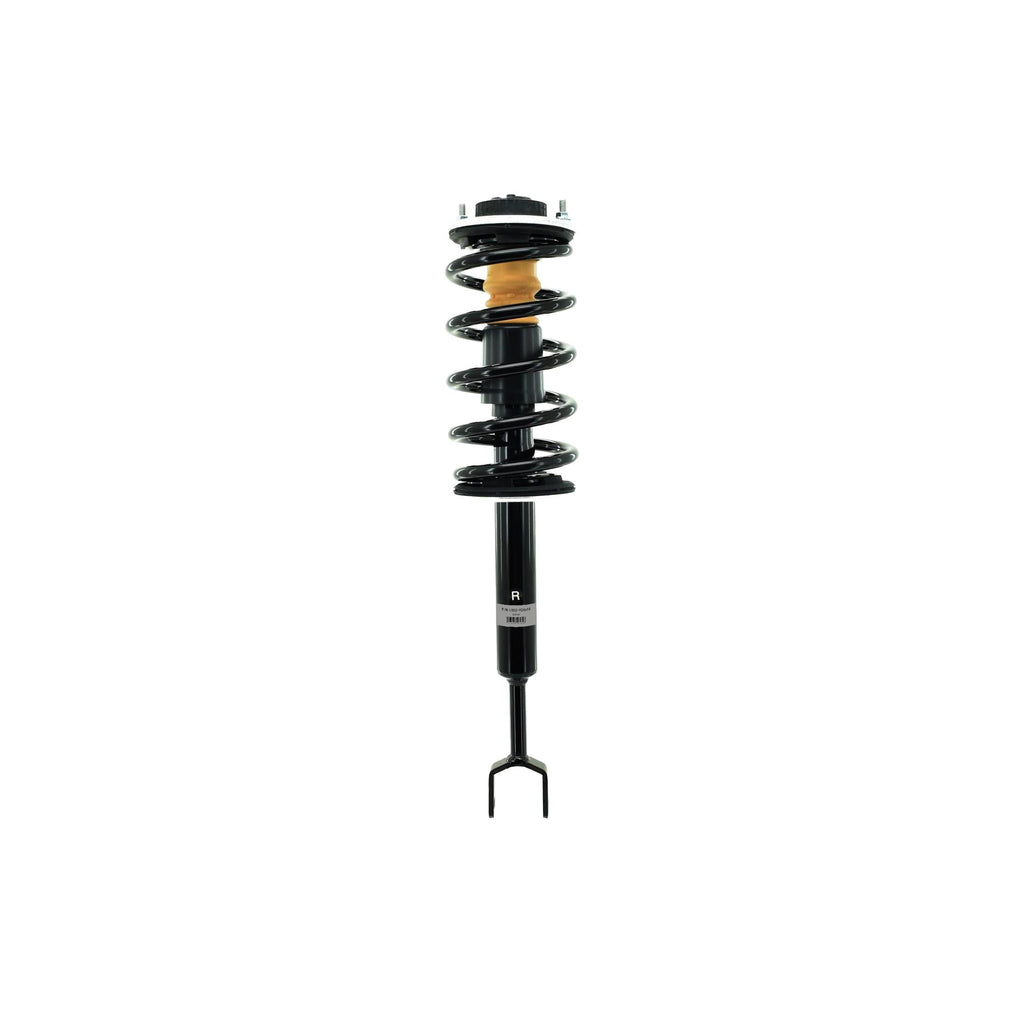 Suspension Strut and Coil Spring Assembly LS53-92461R