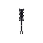Suspension Strut and Coil Spring Assembly LS53-92471B